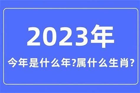 2005年是什么年